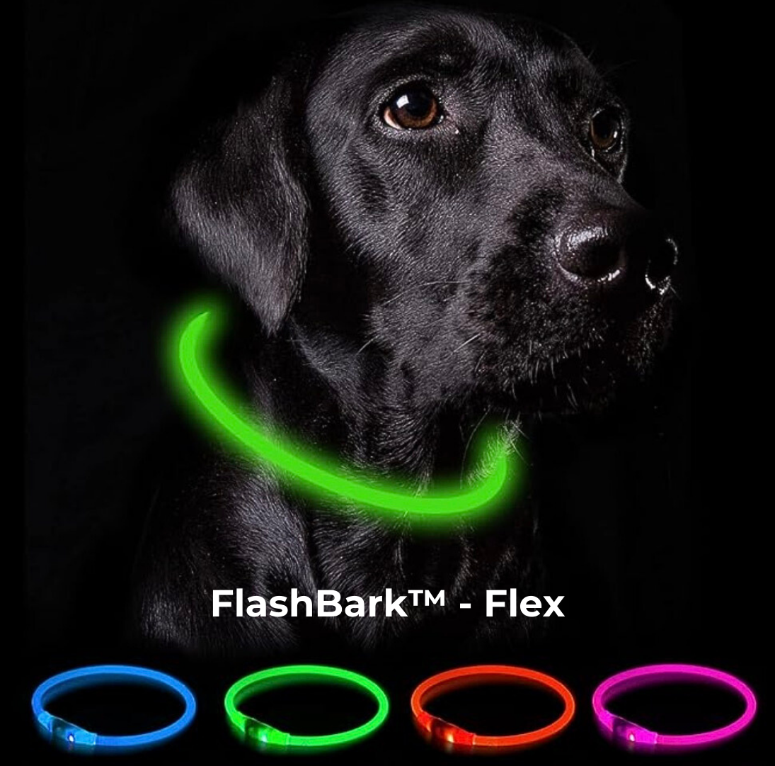 FlashBark™️ - Sicherheit für deinen Hund