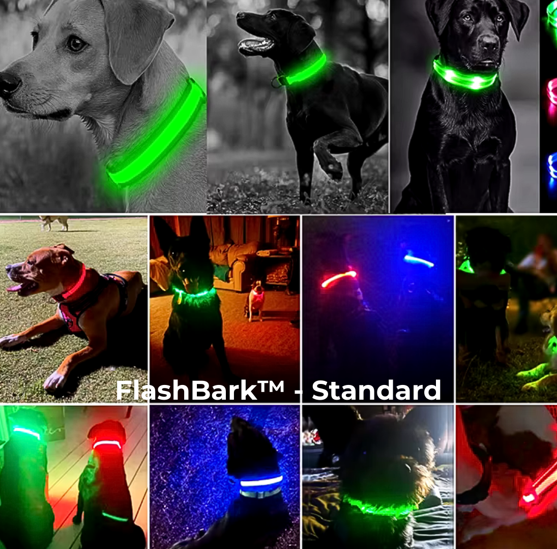 FlashBark™️ - Sicherheit für deinen Hund