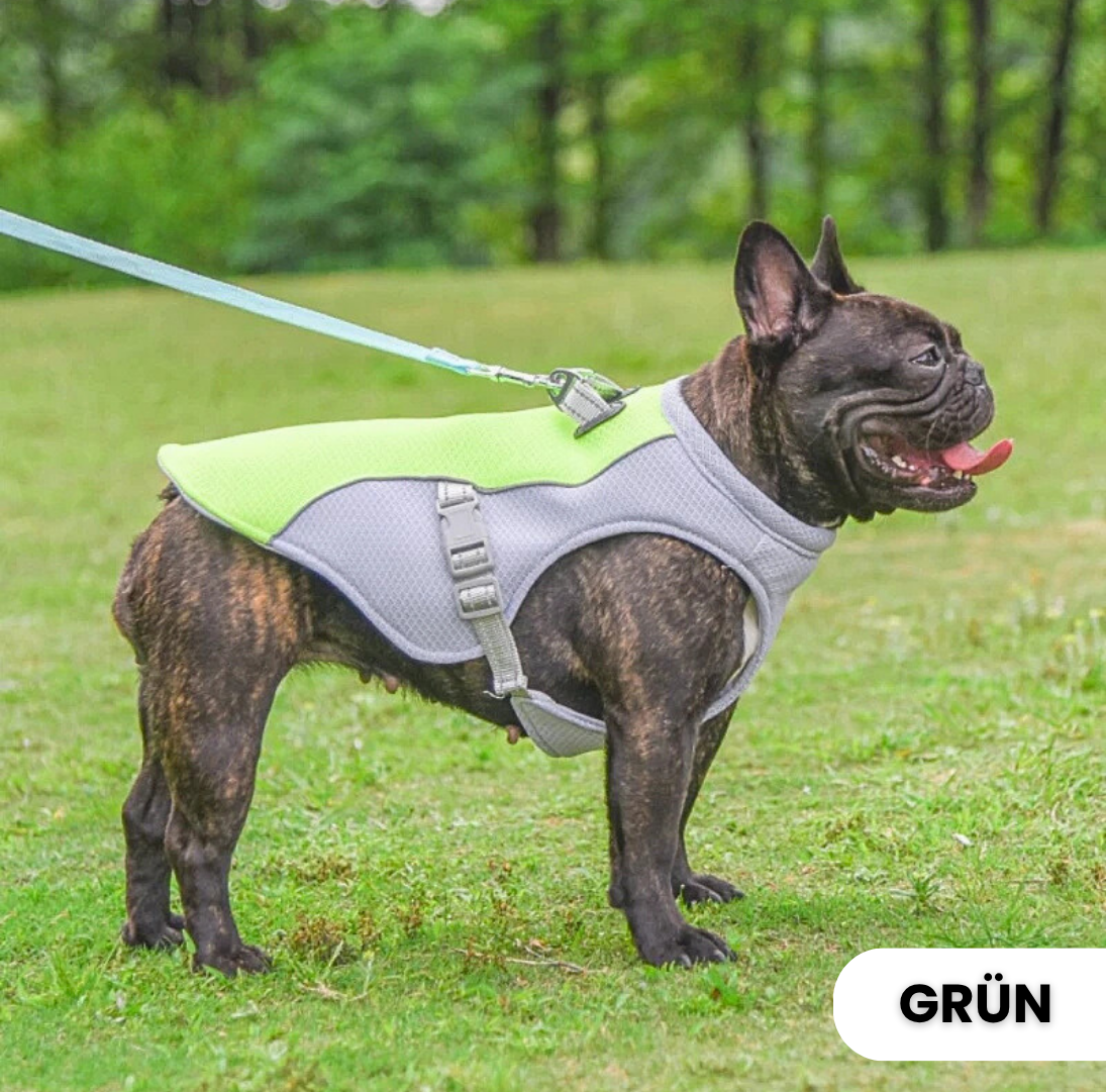 CoolVest – Effektiver Hitzeschutz für Hunde