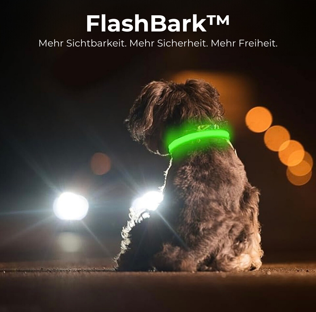 FlashBark™️ - Sicherheit für deinen Hund
