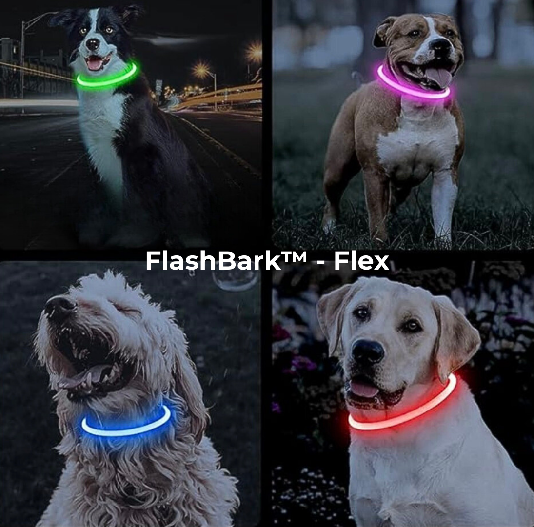 FlashBark™️ - Sicherheit für deinen Hund