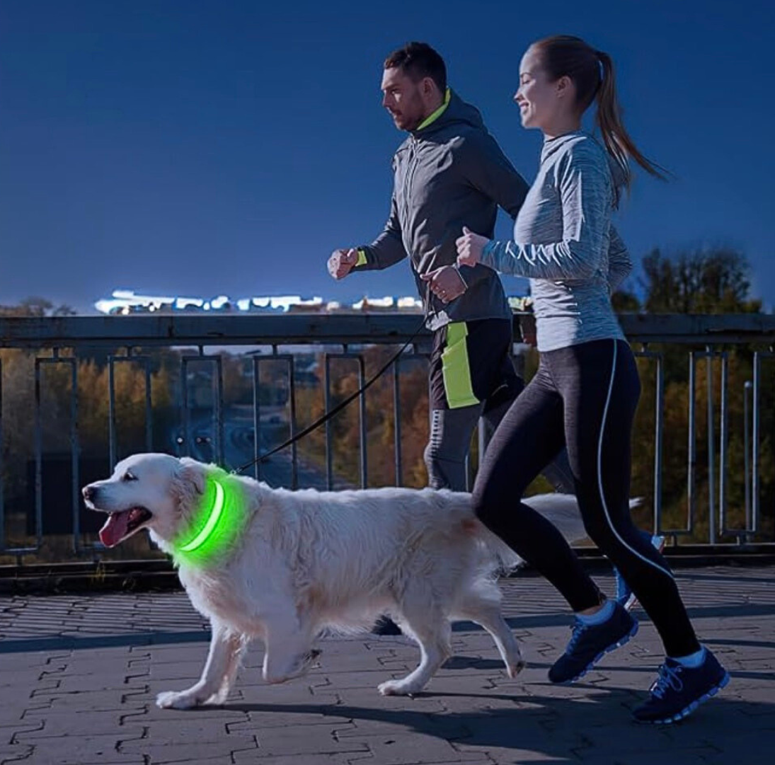 FlashBark™️ - Sicherheit für deinen Hund