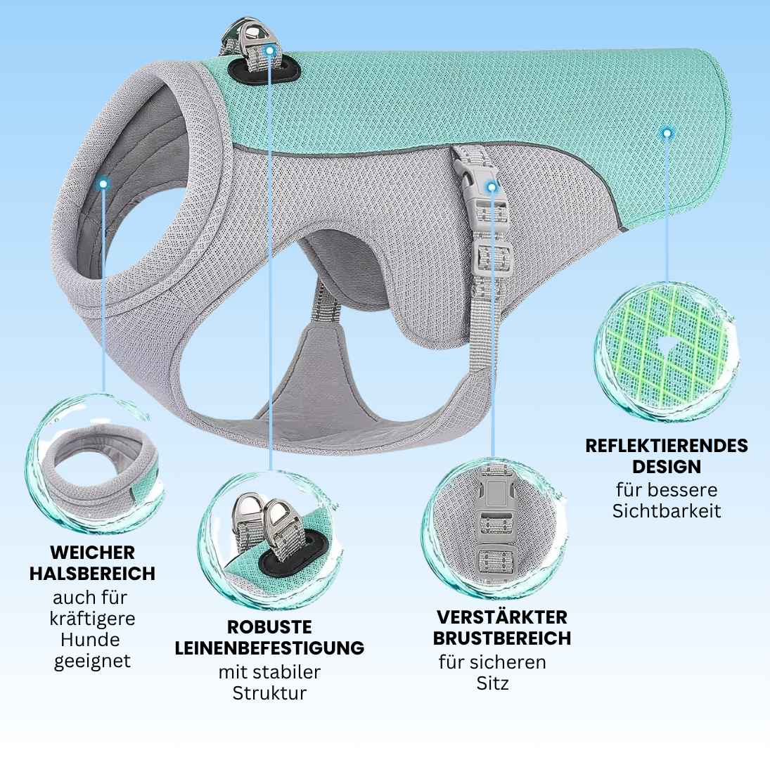 CoolVest – Effektiver Hitzeschutz für Hunde