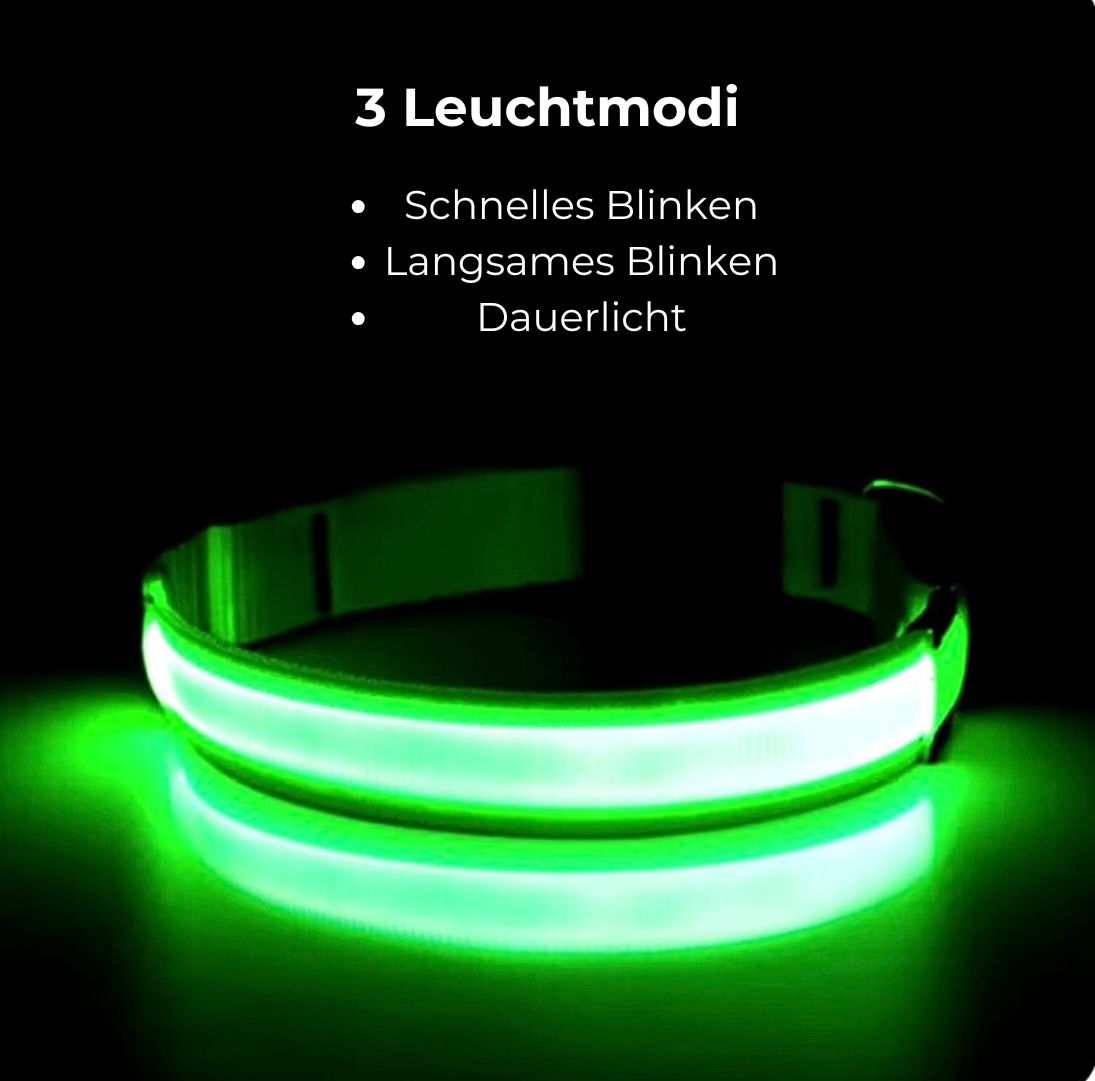 FlashBark™️ - Sicherheit für deinen Hund