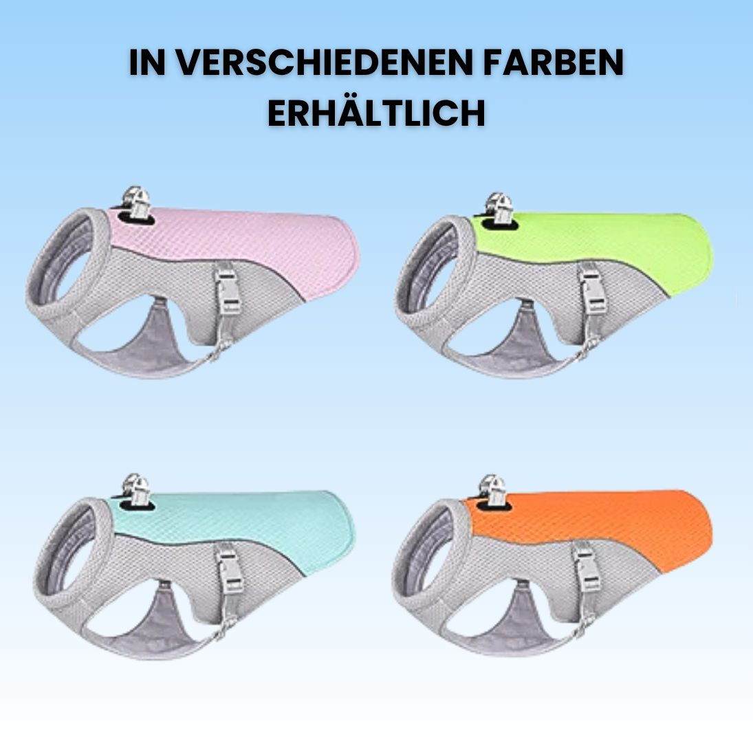CoolVest – Effektiver Hitzeschutz für Hunde