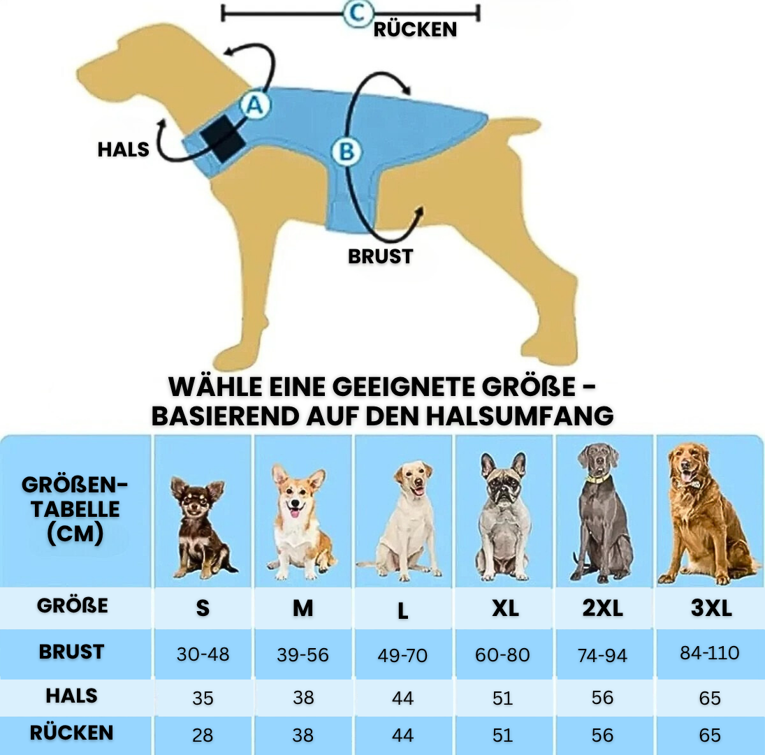 CoolVest – Effektiver Hitzeschutz für Hunde
