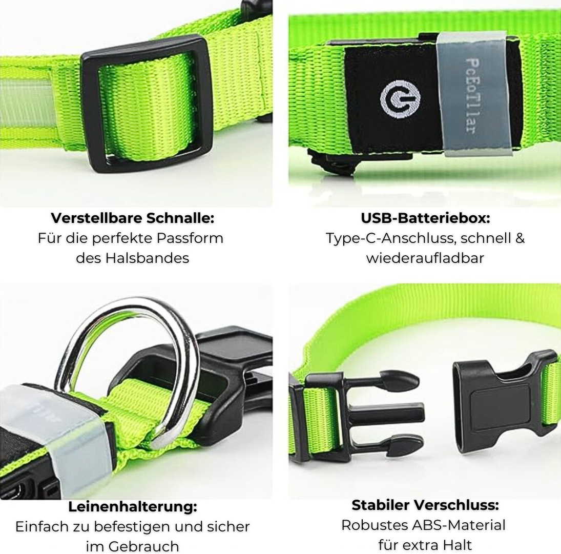 FlashBark™️ - Sicherheit für deinen Hund