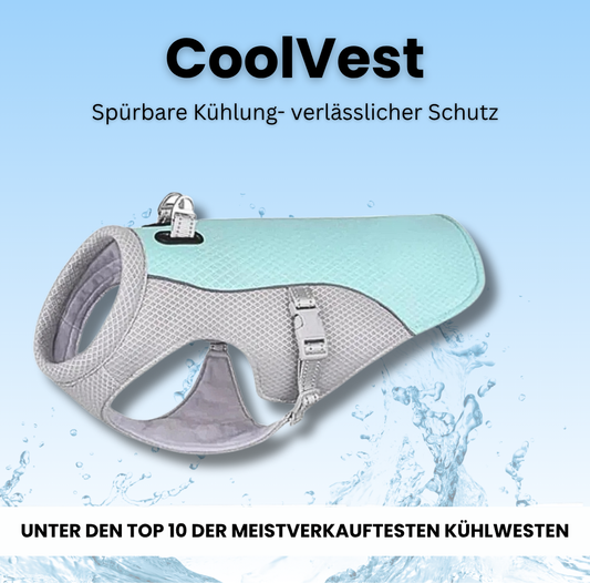 CoolVest – Effektiver Hitzeschutz für Hunde