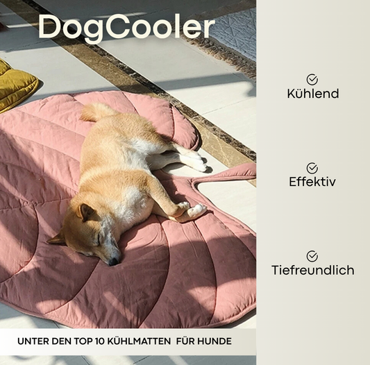 DogCooler – Das Original