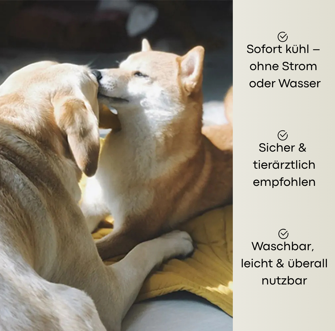 DogCooler – Das Original